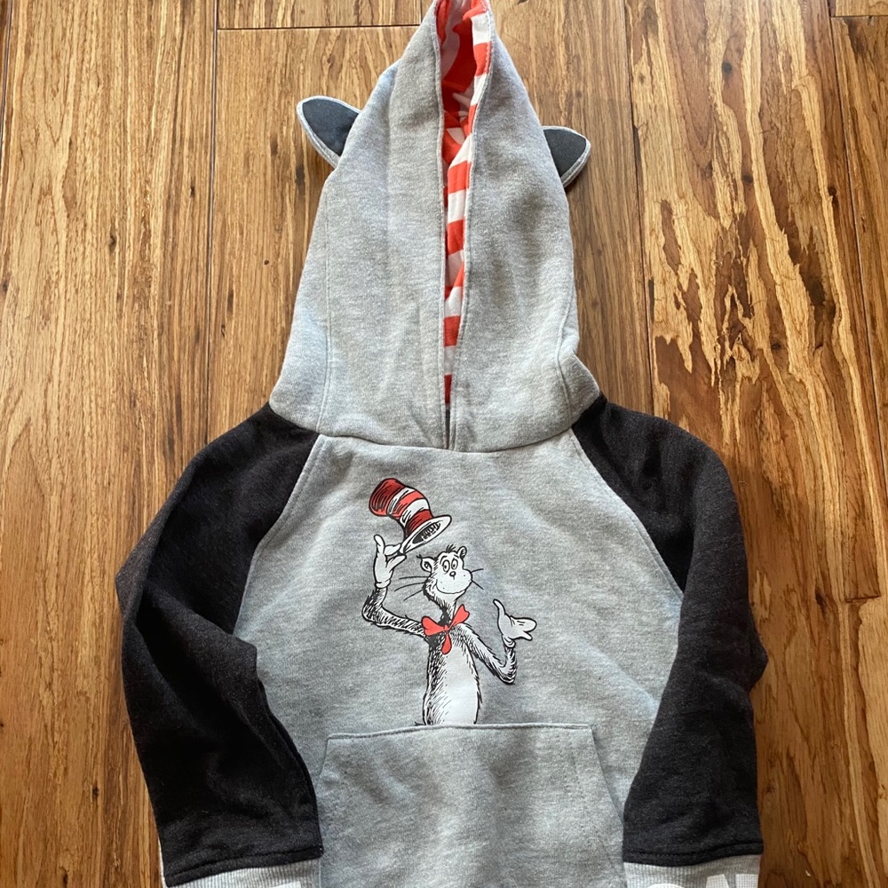 Cat and the Hat hoodie